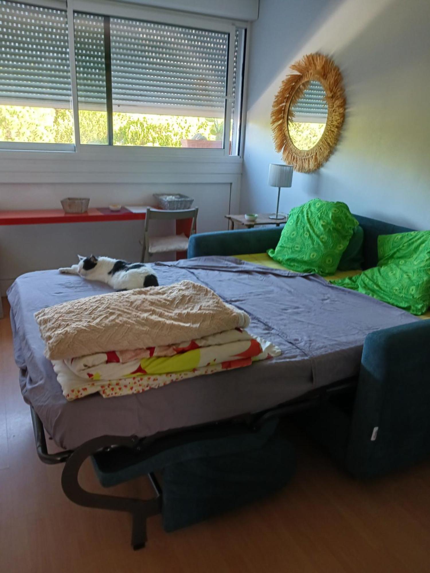 Appartement Chez Flo Et Nano à La Grande Motte Extérieur photo