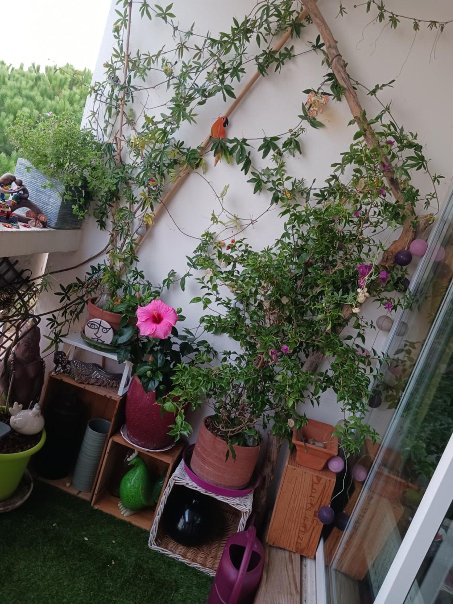Appartement Chez Flo Et Nano à La Grande Motte Extérieur photo